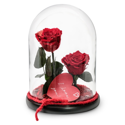 Two red forever roses in a glass